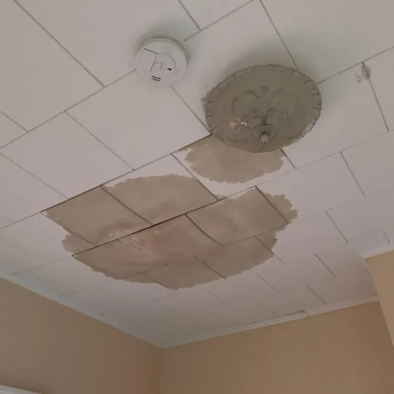 Ceiling Water Damage Repair in Decatur, AR